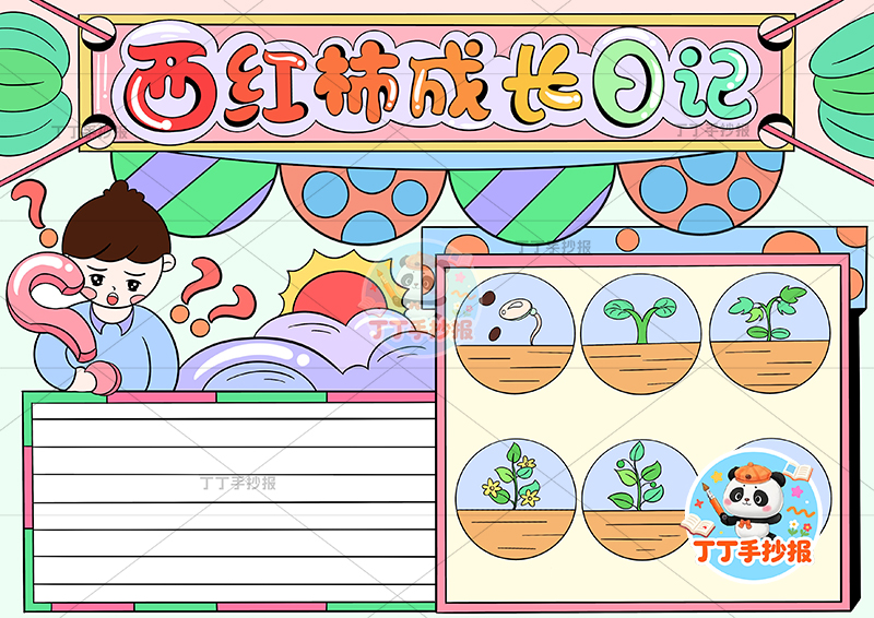 西红柿成长日记手抄报左上男孩番茄生长记录植物记录卡