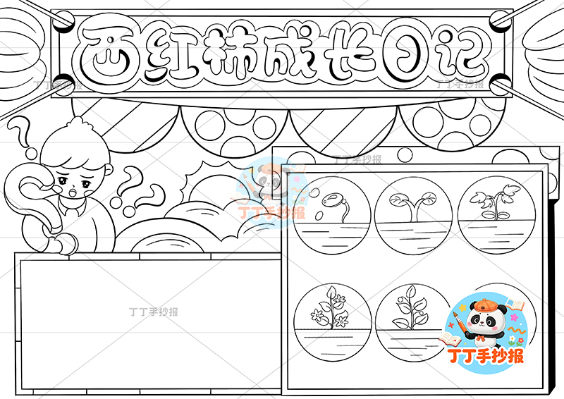 西红柿成长日记手抄报左上男孩番茄生长记录植物记录卡