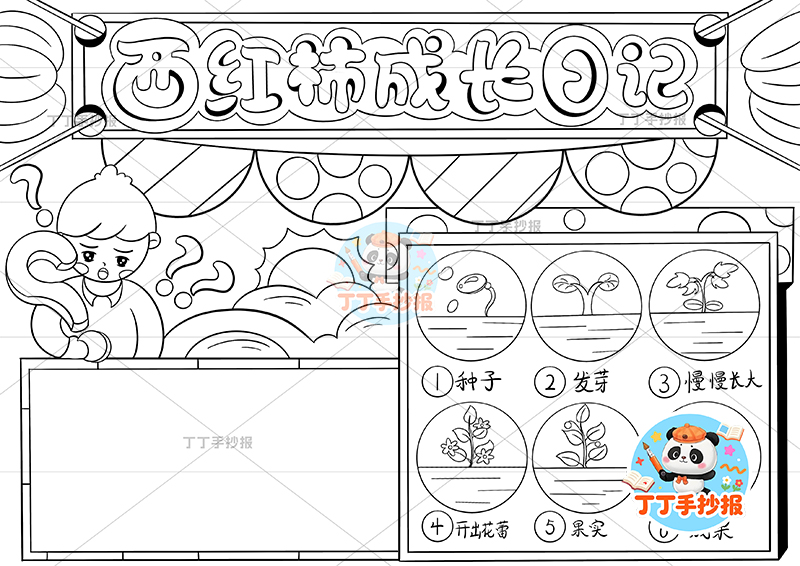 西红柿成长日记手抄报左上男孩番茄生长记录植物记录卡