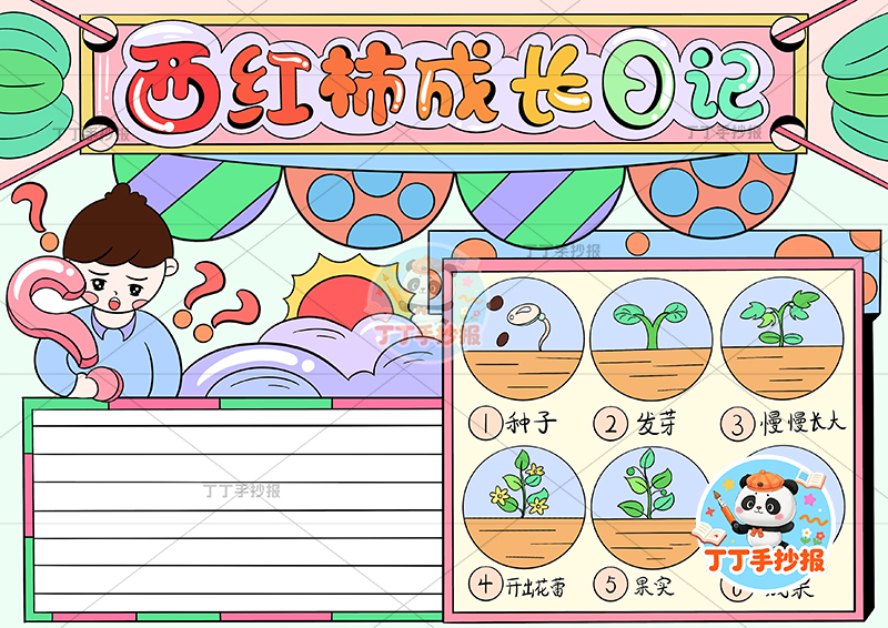 西红柿成长日记手抄报左上男孩番茄生长记录植物记录卡