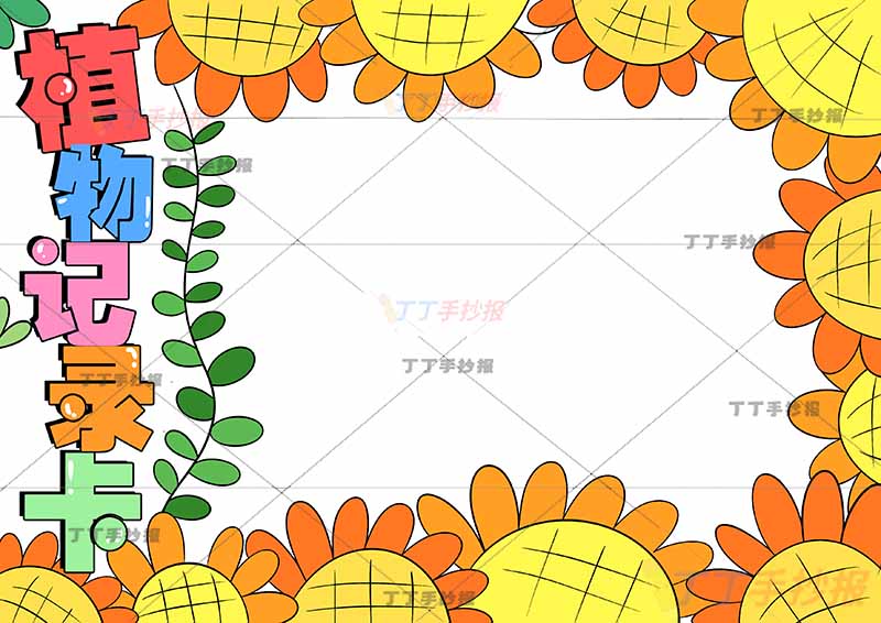 植物记录卡手抄报边缘向日葵