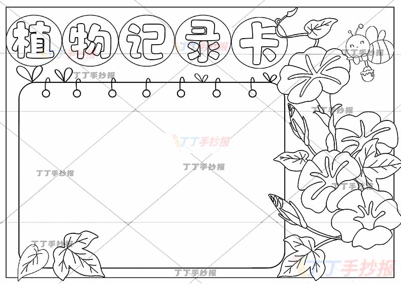 植物记录卡手抄报右边喇叭花