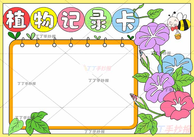 植物记录卡手抄报右边喇叭花