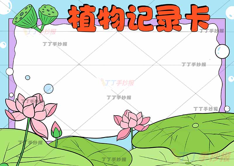 植物记录卡手抄报下方大片荷花