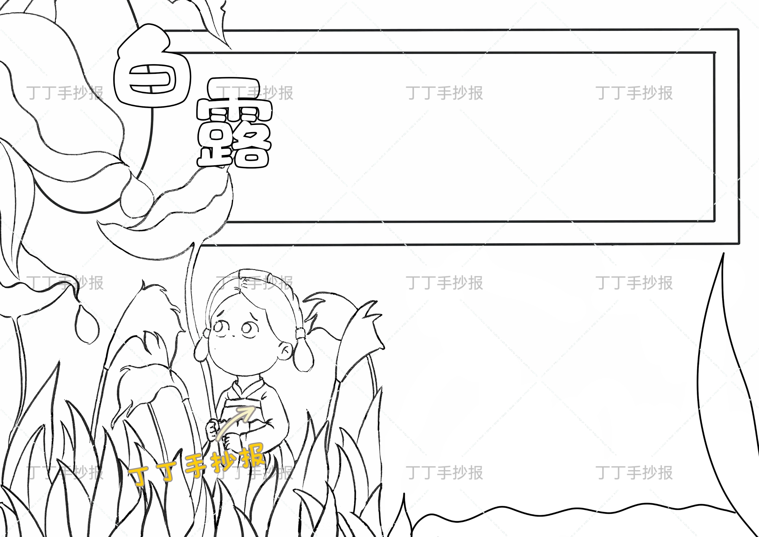 二十四节气白露手抄报女生