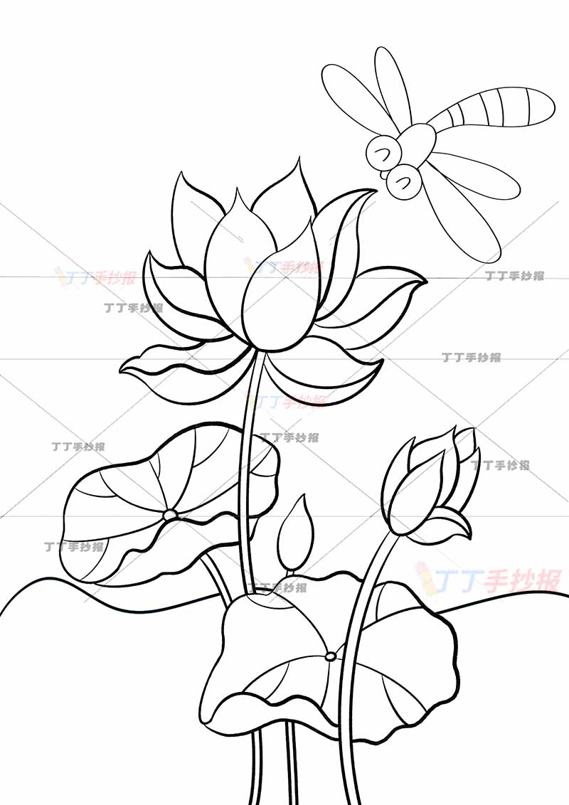 夏天儿童画荷花海报蜻蜓