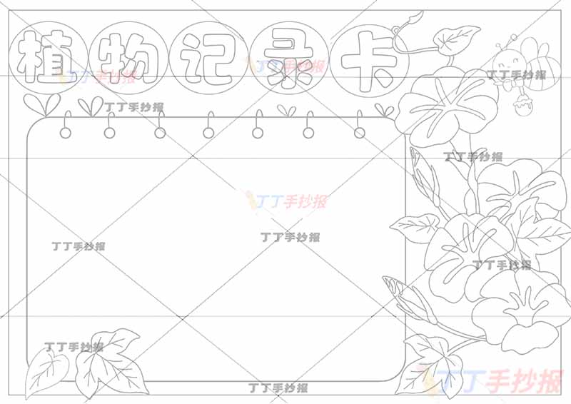 植物记录卡手抄报右边喇叭花
