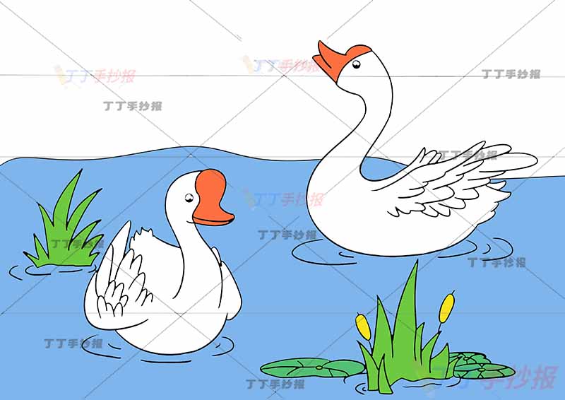 咏鹅诗配画骆宾王一年级古诗配画两只鹅可爱