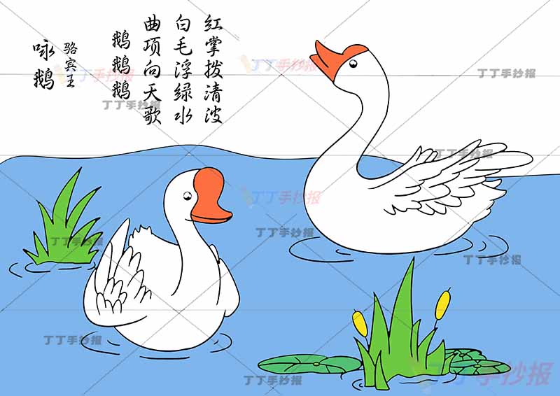 咏鹅诗配画骆宾王一年级古诗配画两只鹅可爱
