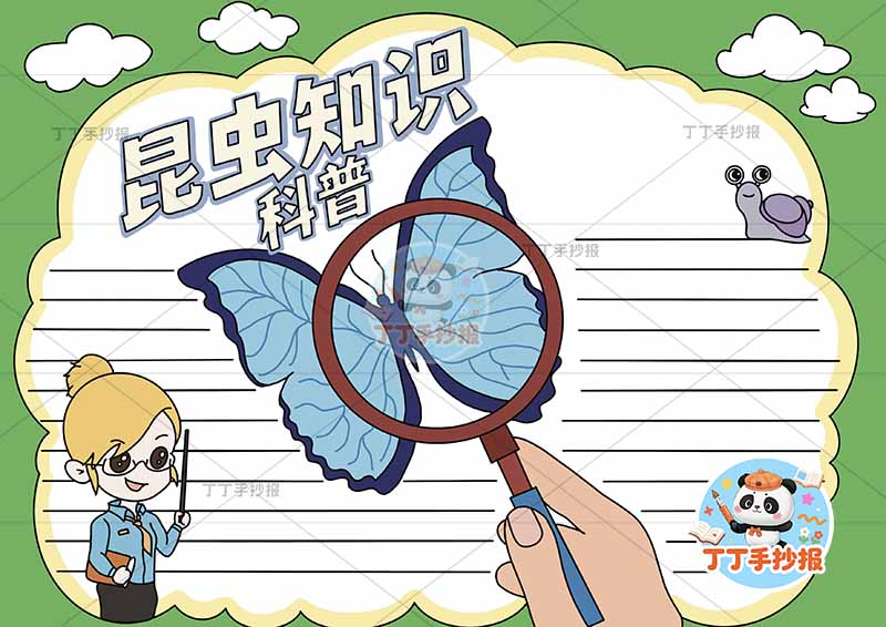 昆虫科普知识手抄报女孩捕蝴蝶