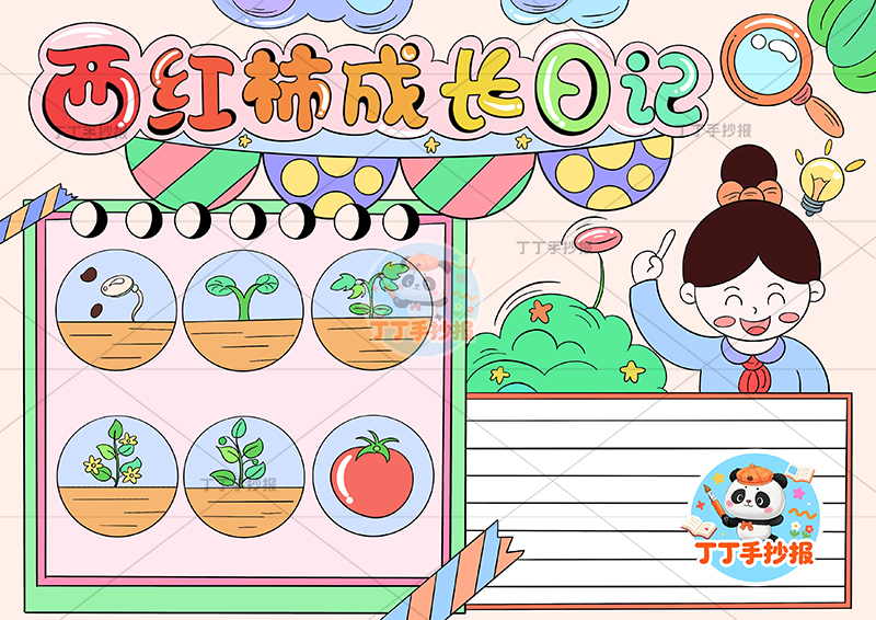 西红柿成长日记手抄报右上女孩番茄生长记录植物记录卡