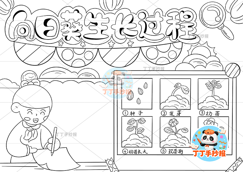 向日葵生长过程手抄报左下女孩记录植物生长记录植物记录卡