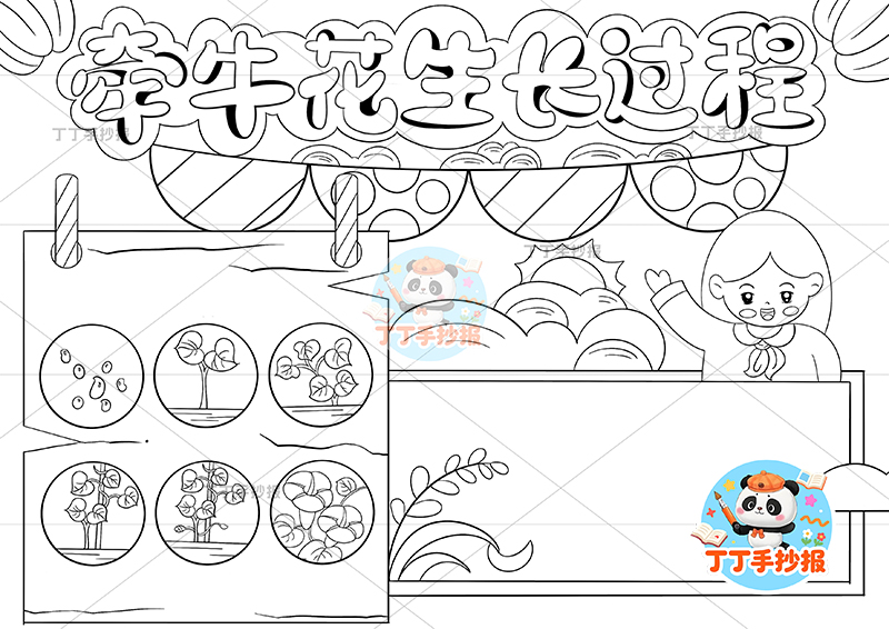 牵牛花生长过程手抄报女孩植物生长记录植物记录卡