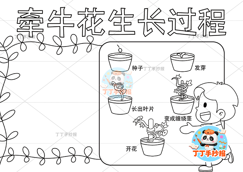 牵牛花生长过程手抄报男孩右下植物生长记录植物记录卡