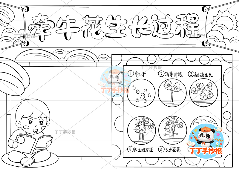 牵牛花生长过程手抄报男孩植物生长记录植物记录卡