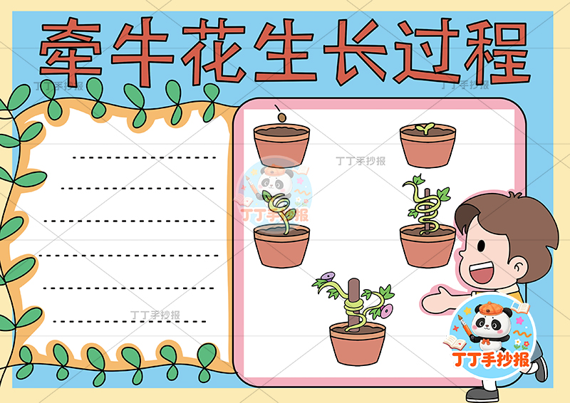 牵牛花生长过程手抄报男孩右下植物生长记录植物记录卡