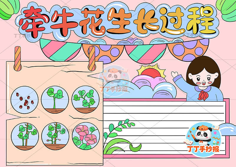 牵牛花生长过程手抄报女孩植物生长记录植物记录卡