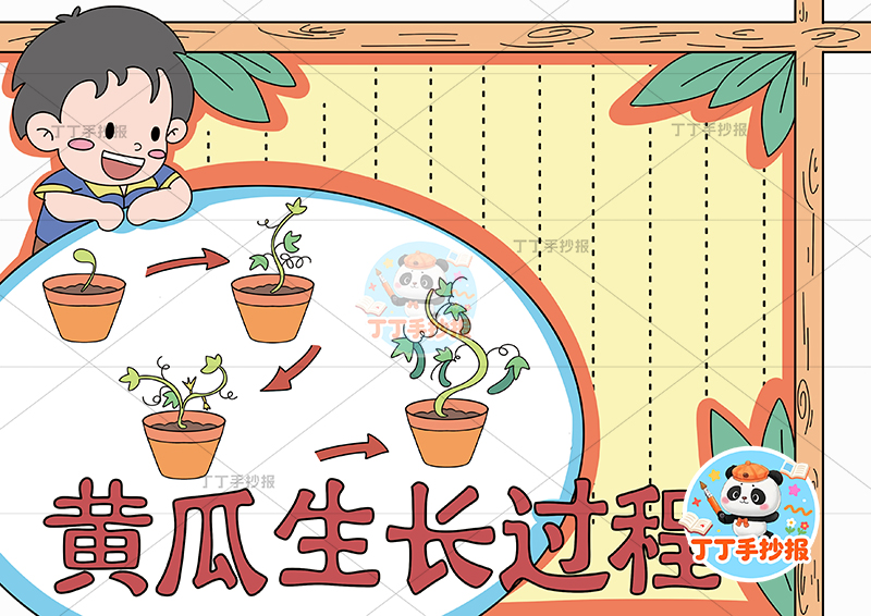 黄瓜生长过程手抄报男孩趴边框植物生长记录植物记录卡