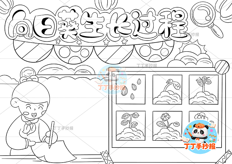 向日葵生长过程手抄报左下女孩记录植物生长记录植物记录卡
