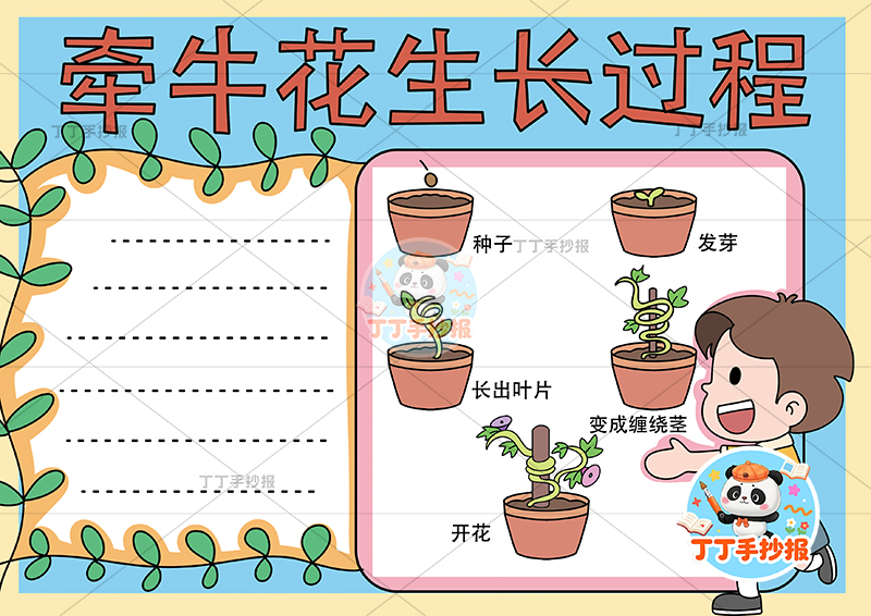 牵牛花生长过程手抄报男孩右下植物生长记录植物记录卡