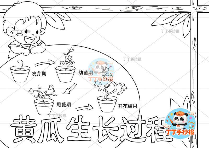 黄瓜生长过程手抄报男孩趴边框植物生长记录植物记录卡