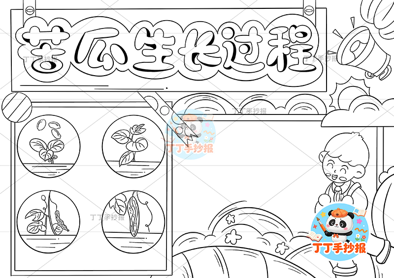 苦瓜生长过程手抄报右侧男孩站植物生长记录植物记录卡