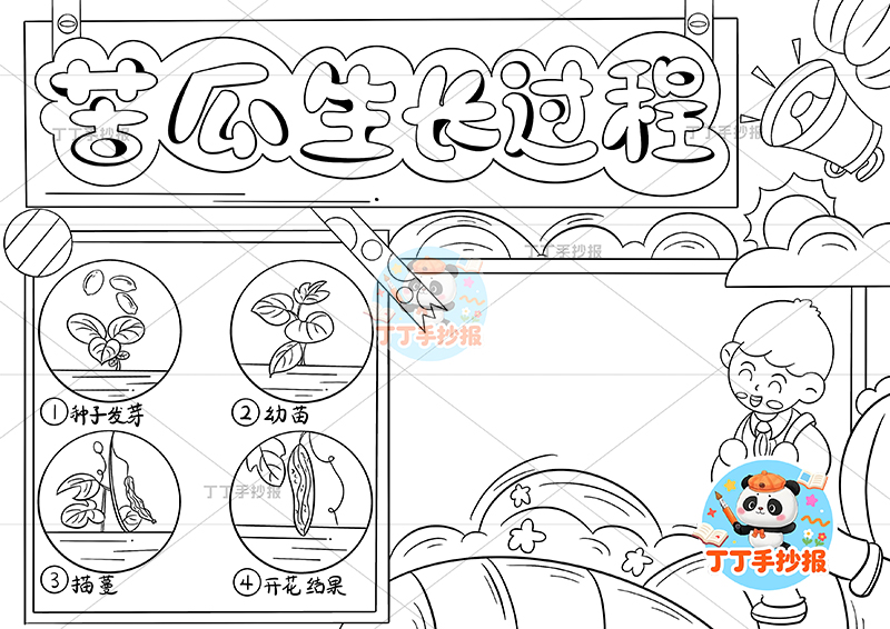 苦瓜生长过程手抄报右侧男孩站植物生长记录植物记录卡