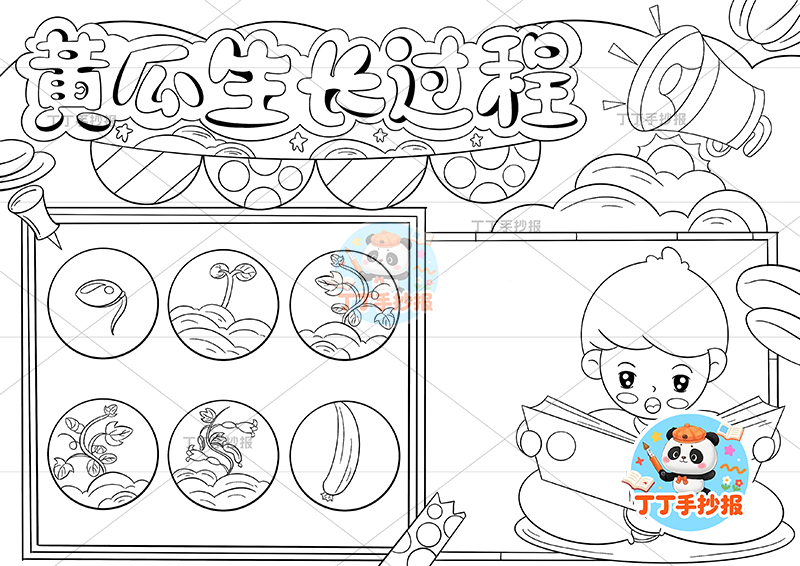黄瓜生长过程手抄报男孩记录植物生长记录植物记录卡