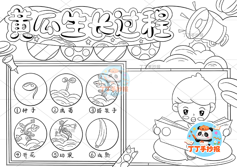 黄瓜生长过程手抄报男孩记录植物生长记录植物记录卡