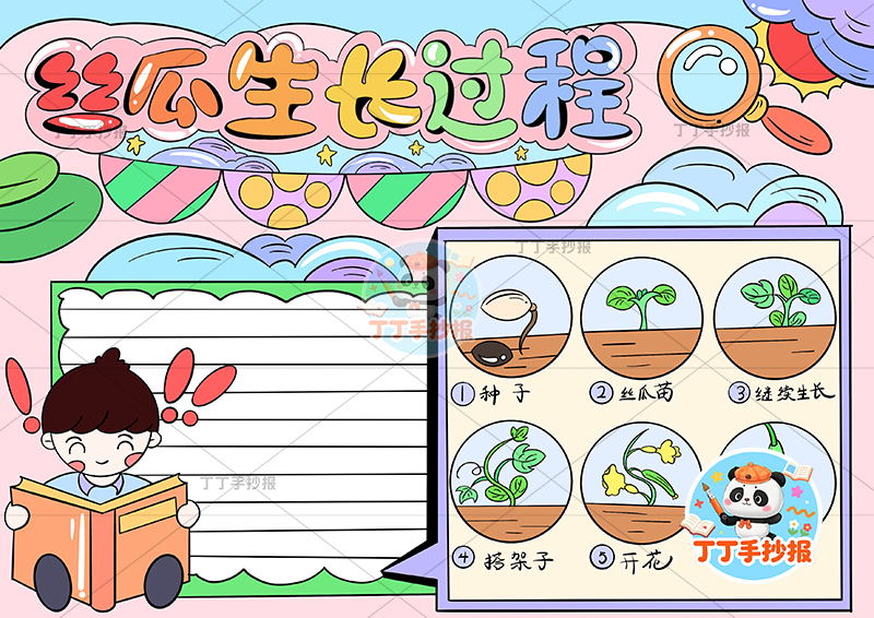 丝瓜生长过程手抄报男孩左看书植物生长记录植物记录卡