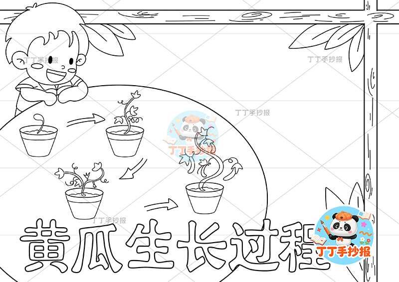 黄瓜生长过程手抄报男孩趴边框植物生长记录植物记录卡