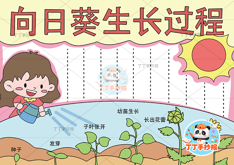 向日葵生长过程手抄报女孩底部花朵植物生长记录植物记录卡