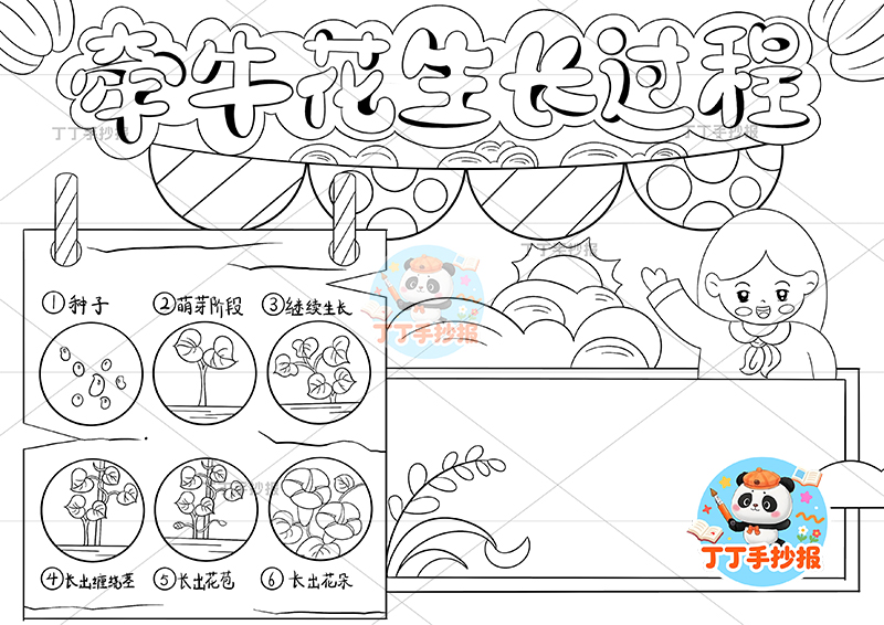 牵牛花生长过程手抄报女孩植物生长记录植物记录卡