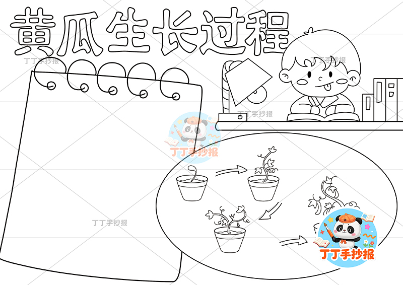 黄瓜生长过程手抄报右侧男孩植物生长记录植物记录卡