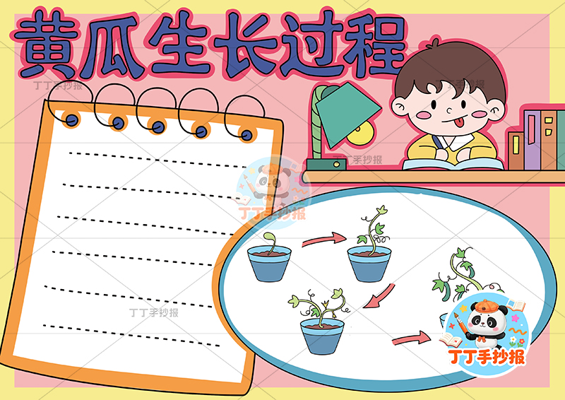 黄瓜生长过程手抄报右侧男孩植物生长记录植物记录卡