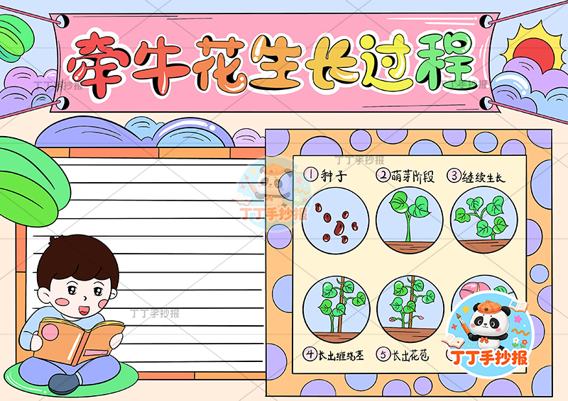牵牛花生长过程手抄报男孩植物生长记录植物记录卡