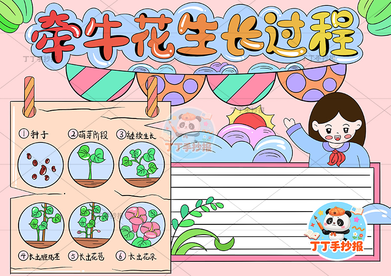牵牛花生长过程手抄报女孩植物生长记录植物记录卡