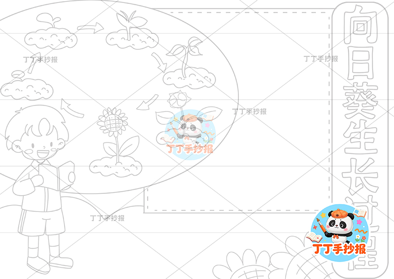 向日葵生长过程手抄报左侧男孩植物生长记录植物记录卡