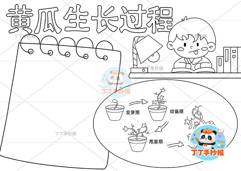 黄瓜生长过程手抄报右侧男孩植物生长记录植物记录卡