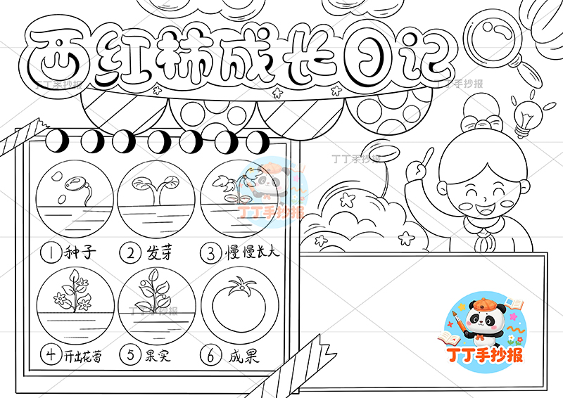 西红柿成长日记手抄报右上女孩番茄生长记录植物记录卡