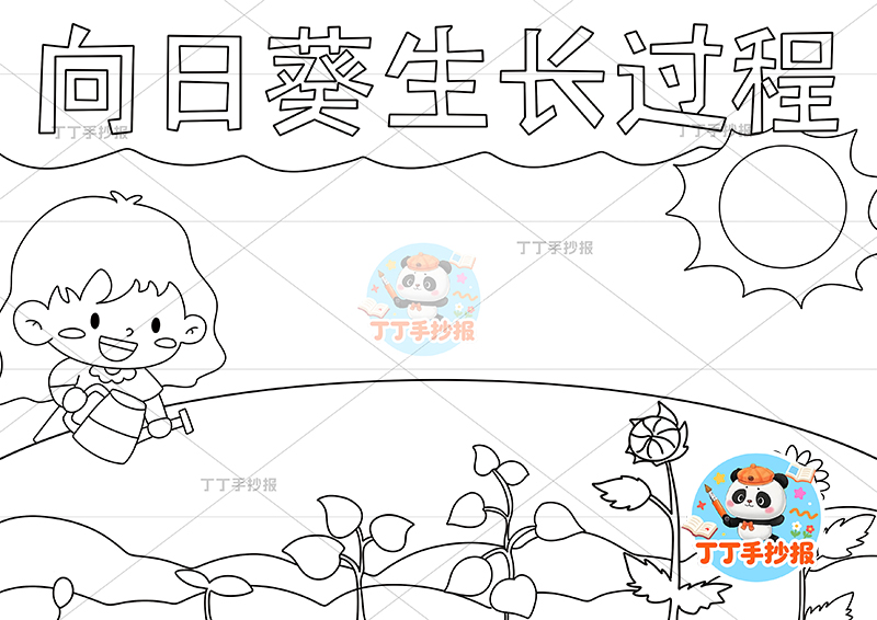 向日葵生长过程手抄报女孩底部花朵植物生长记录植物记录卡