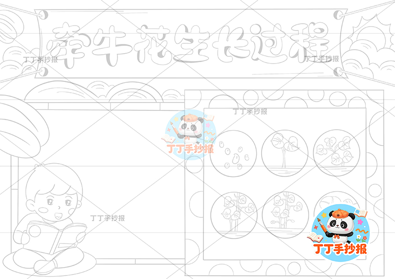牵牛花生长过程手抄报男孩植物生长记录植物记录卡