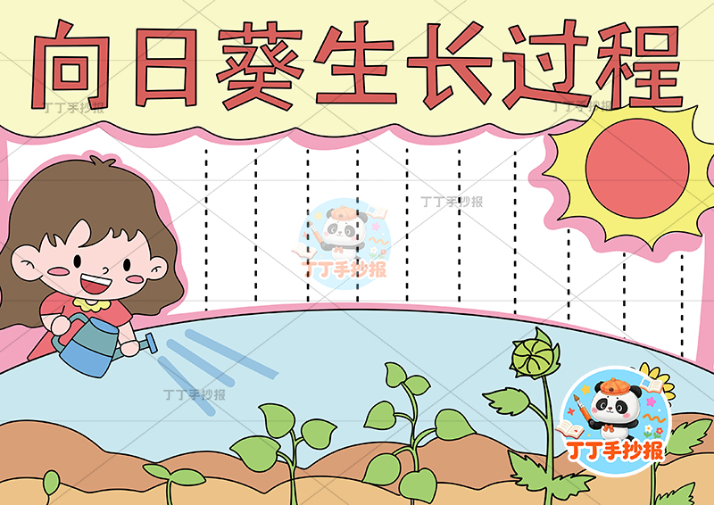 向日葵生长过程手抄报女孩底部花朵植物生长记录植物记录卡