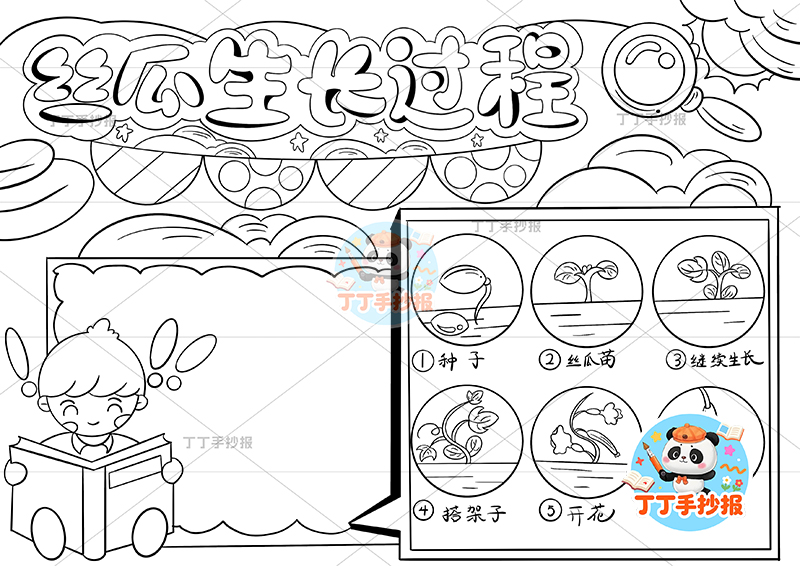 丝瓜生长过程手抄报男孩左看书植物生长记录植物记录卡