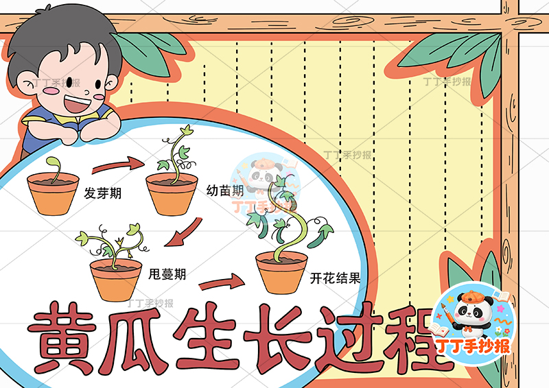 黄瓜生长过程手抄报男孩趴边框植物生长记录植物记录卡