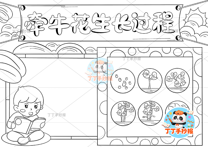 牵牛花生长过程手抄报男孩植物生长记录植物记录卡