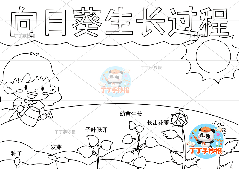 向日葵生长过程手抄报女孩底部花朵植物生长记录植物记录卡