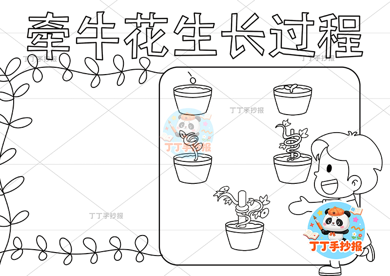 牵牛花生长过程手抄报男孩右下植物生长记录植物记录卡