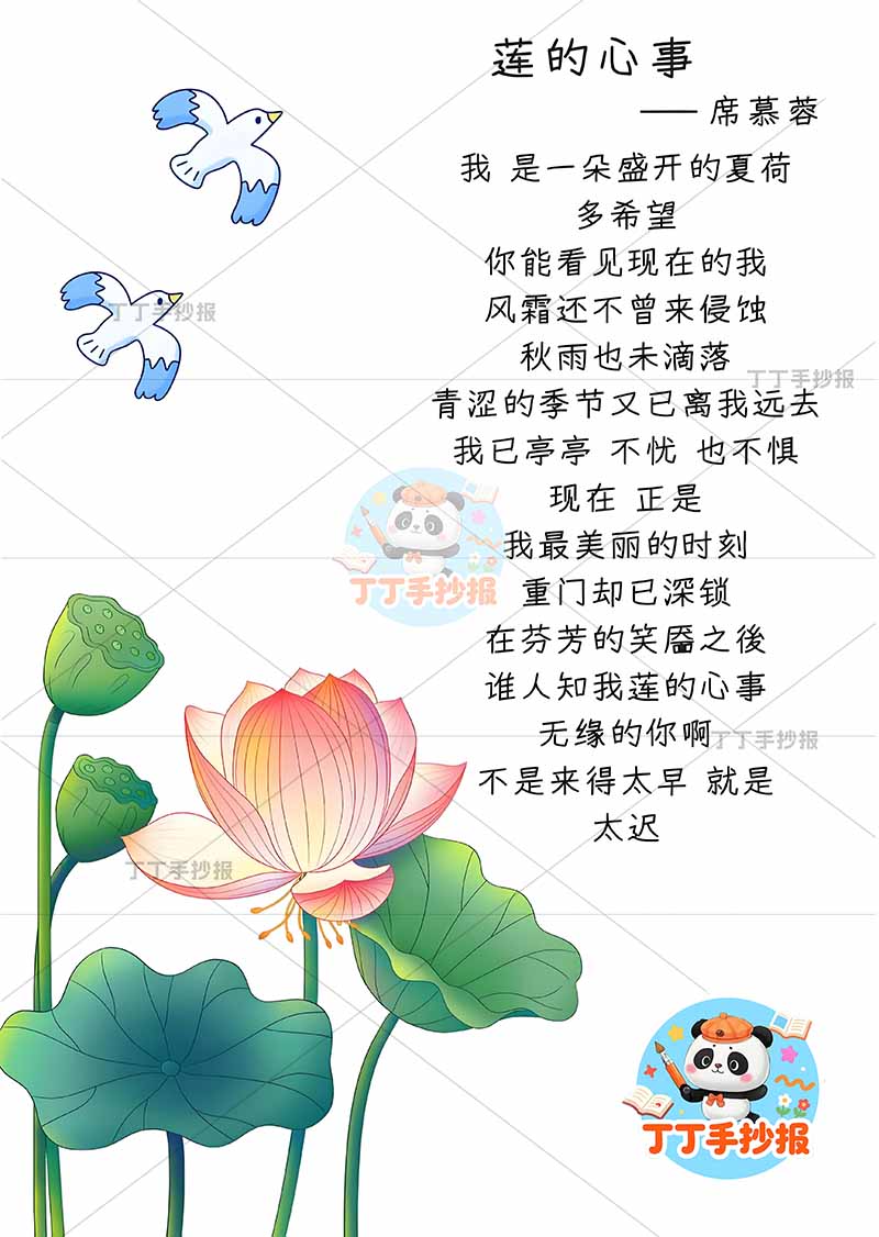 现代诗莲的心事竖版手抄报莲小鸟