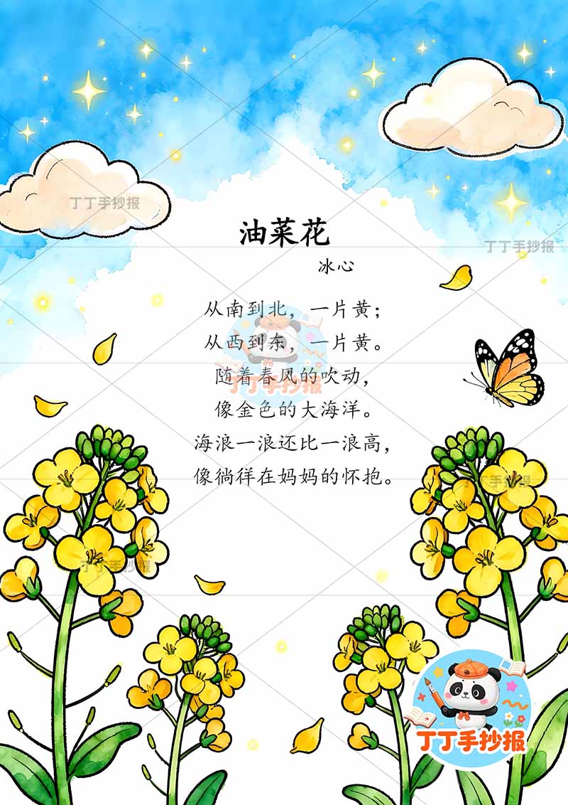 现代诗油菜花竖版手抄报冰心左右花